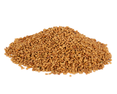 Fenugreek